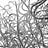 Radicle Weft