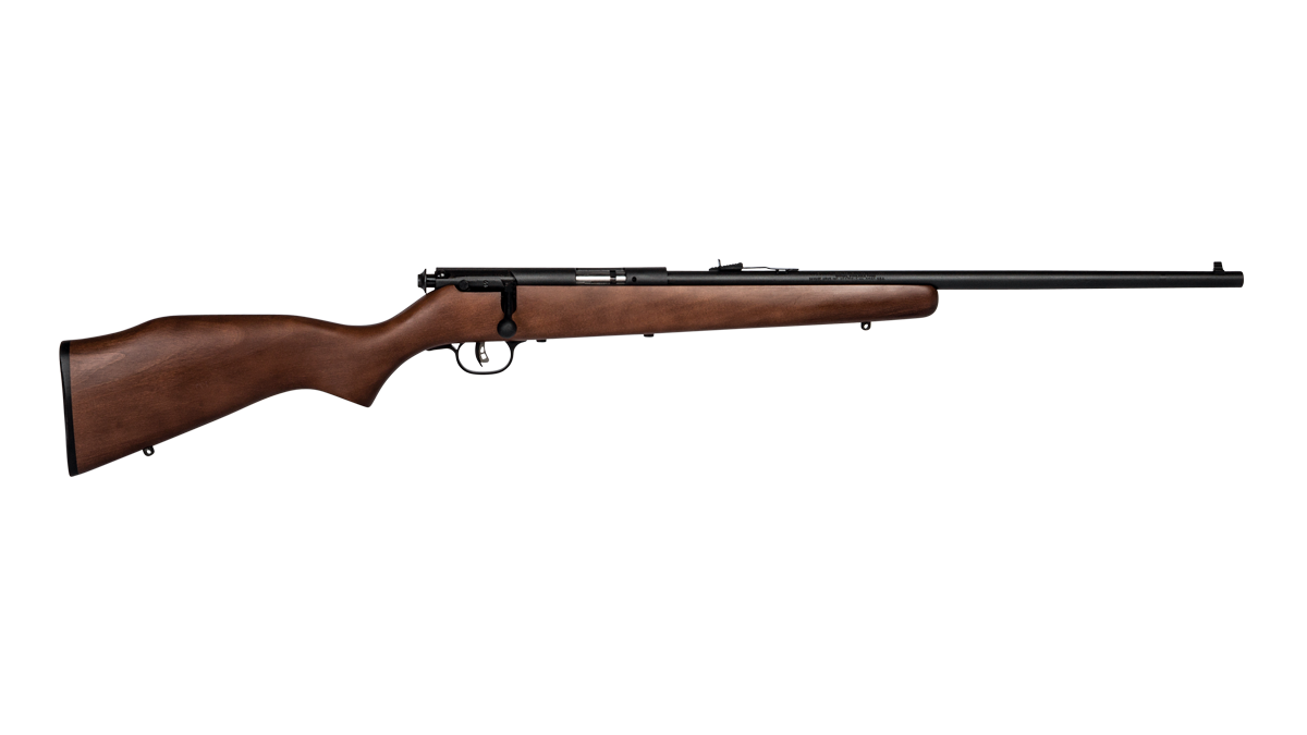 A bolt-action .22 LR rifle.