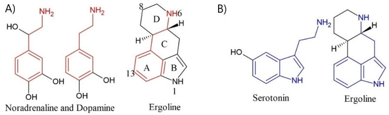 An external file that holds a picture, illustration, etc.
Object name is toxins-13-00492-g001.jpg An external file that holds a picture, illustration, etc.
Object name is toxins-13-00492-g001.jpg