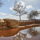 Anatomia unei ispitiri celebre