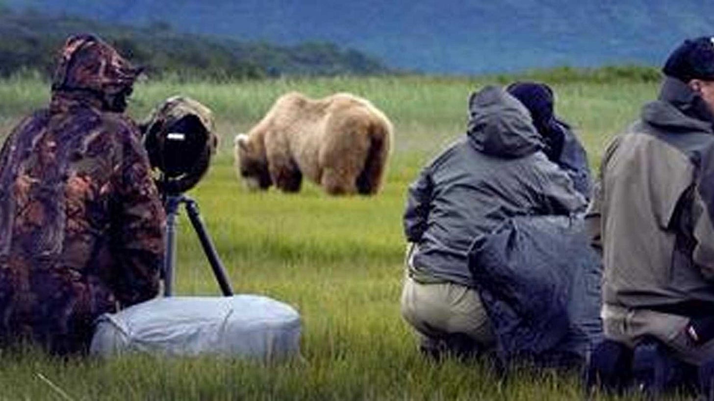Bear Viewing Packages