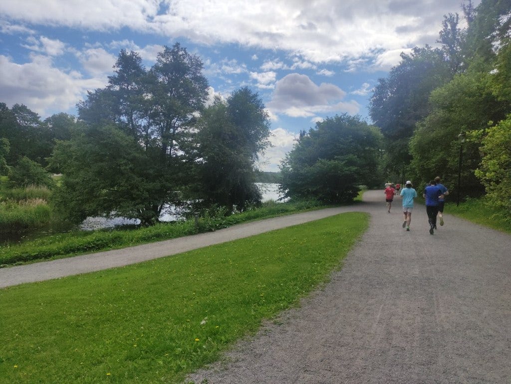Runners on the path to the right of a lake.
