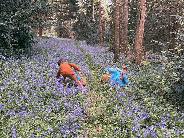 Two children searching for Easter eggs among bluebells in a French forest