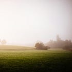 When Your Body Wants Slowness But Your Life Demands More