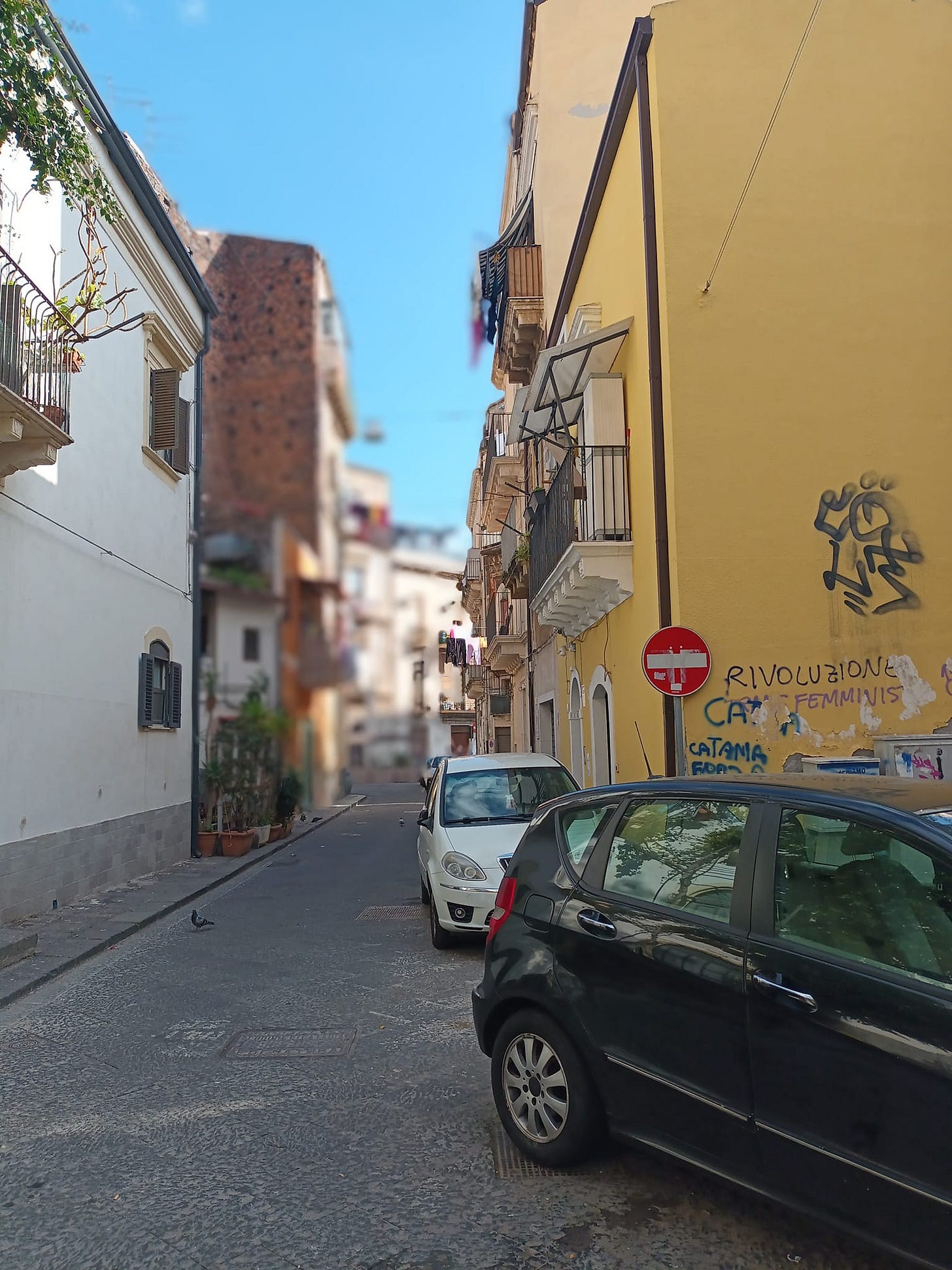 May be an image of street and Camogli