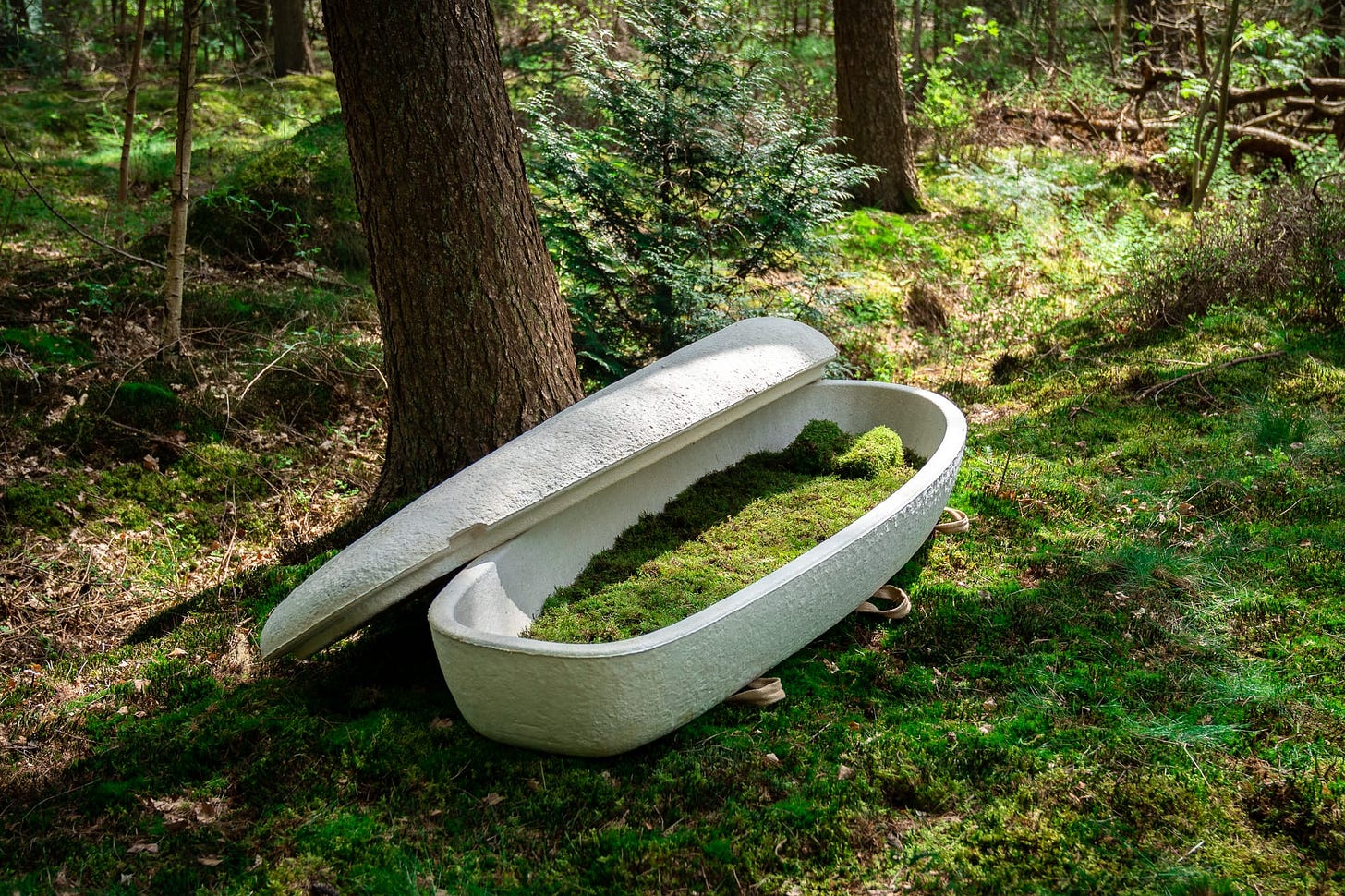 Get buried in a living mushroom coffin