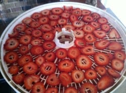Strawberries for dehydrating 2013-04-10 17.02.48