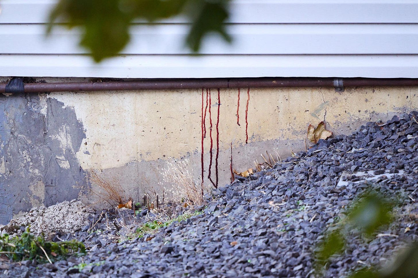 Blood oozing out of the side of the house where 4 University of Idaho  students were stabbed to death. : r/TerrifyingAsFuck