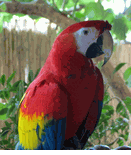 naturechest_2127_70537690