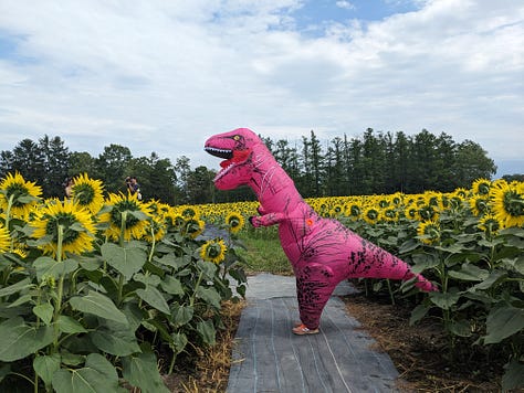 Hokuryu Sunflower Festival