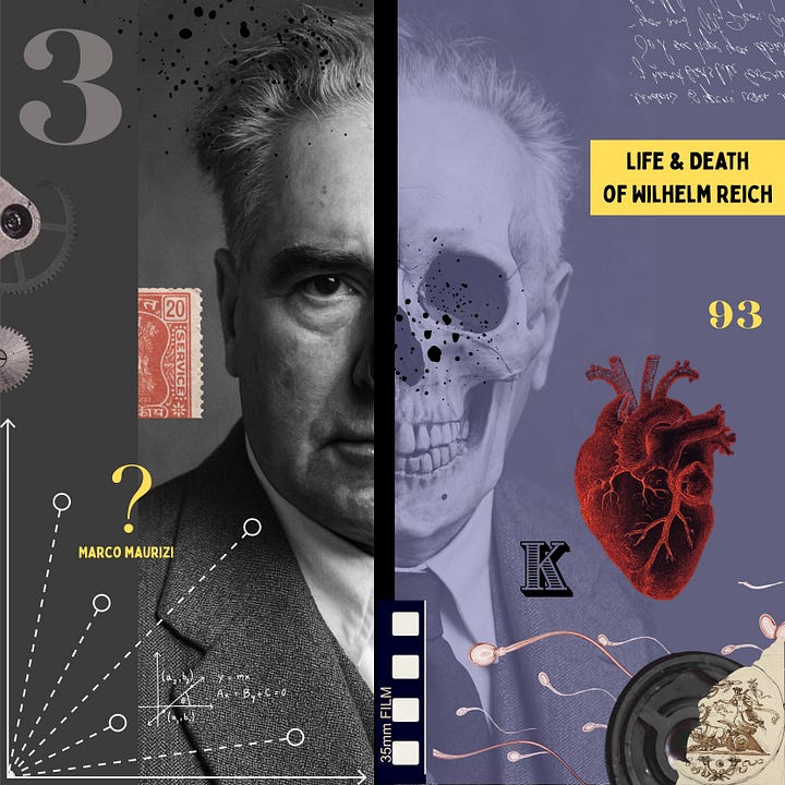 Marco Maurizi: The Life and Death of Wilhelm Reich