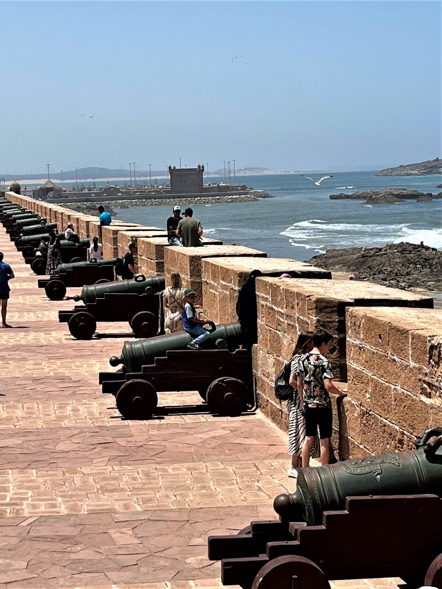 A group of people standing next to a wall with cannons

Description automatically generated