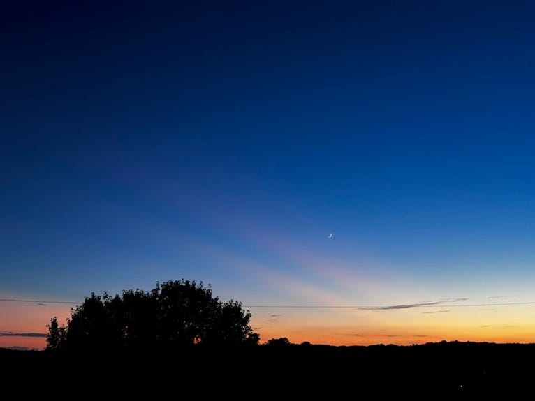 Confirming the Words of the Kingdom