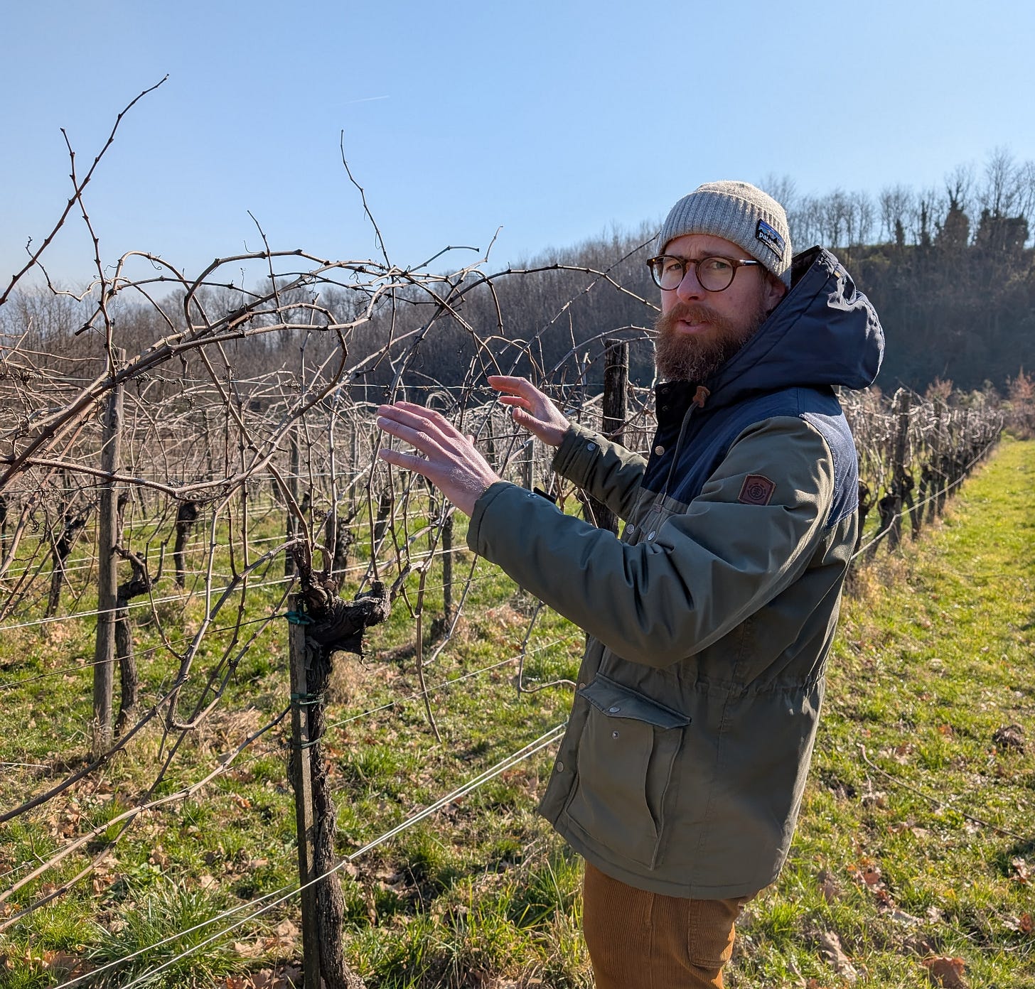 Nikolas Juretic in the vineyards, Feb 2025. Photo (C) Simon J Woolf