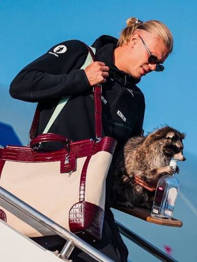 Erling Haaland lands in Norway carrying a Dolce & Gabbana bag and a (fake) raccoon he bought in Texas. Erling Haaland lands in Norway carrying a Dolce & Gabbana bag and a (fake) raccoon he bought in Texas.