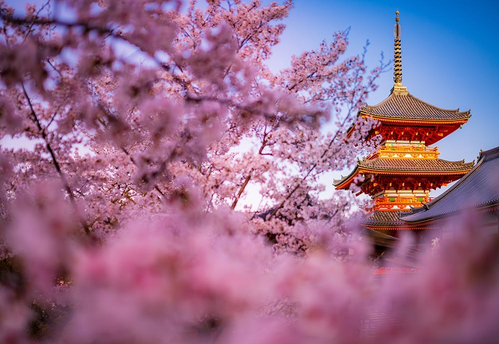 Visiting Japan Visiting Japan