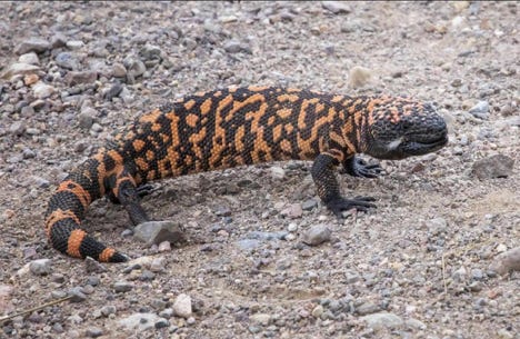 pastedGraphic_1.png pastedGraphic_1.png