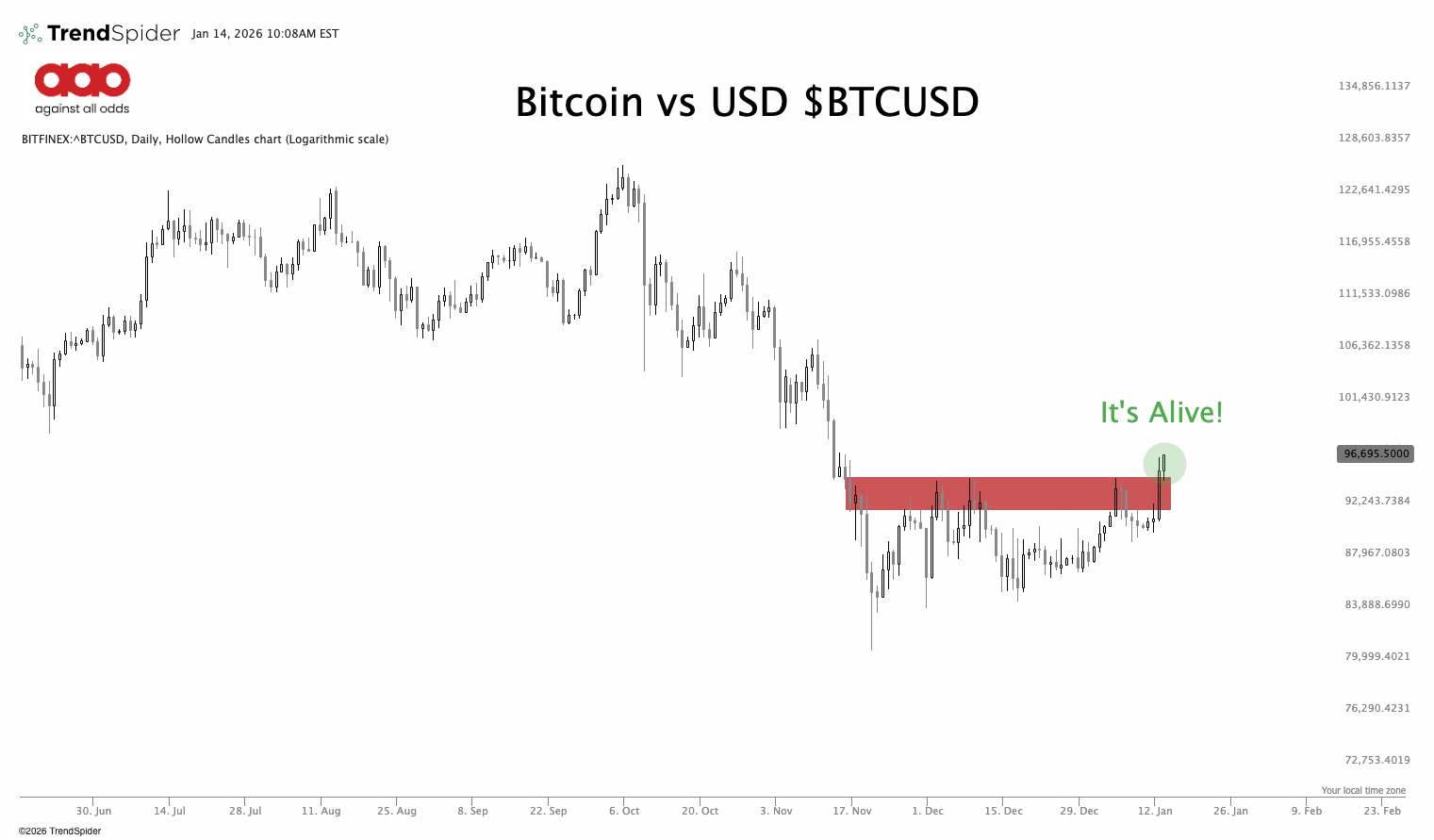 Portfolio Review: Volatility Is the Price of Admission