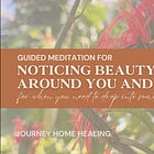 Guided Meditation for accessing the beauty around you and within you