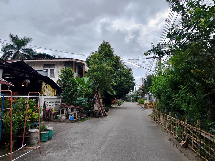A quiet residential street in Chiang Mai around dawn, followed by a tokay gecko clinging to a window in our home in Mae Rim at night.