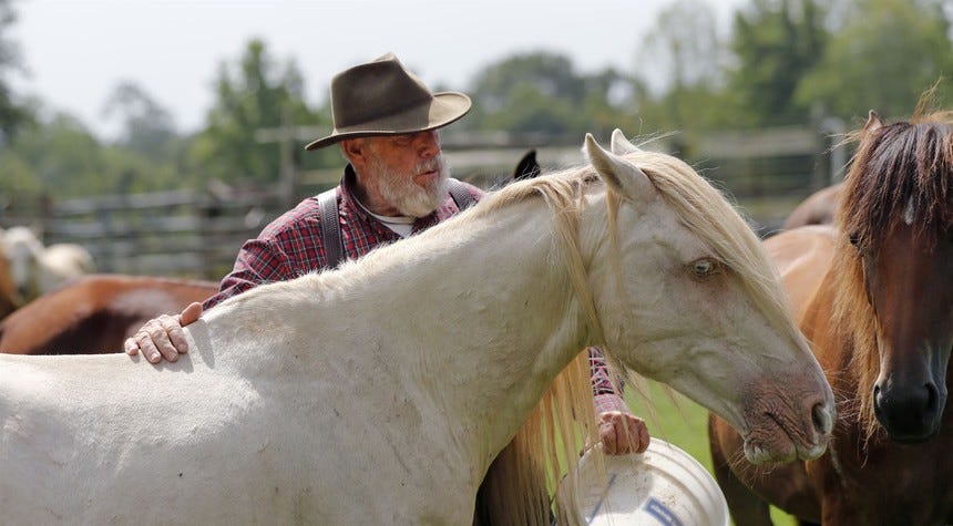 FDA Bans Farmers from Caring for Their Own Animals Without Costly Vet Approval