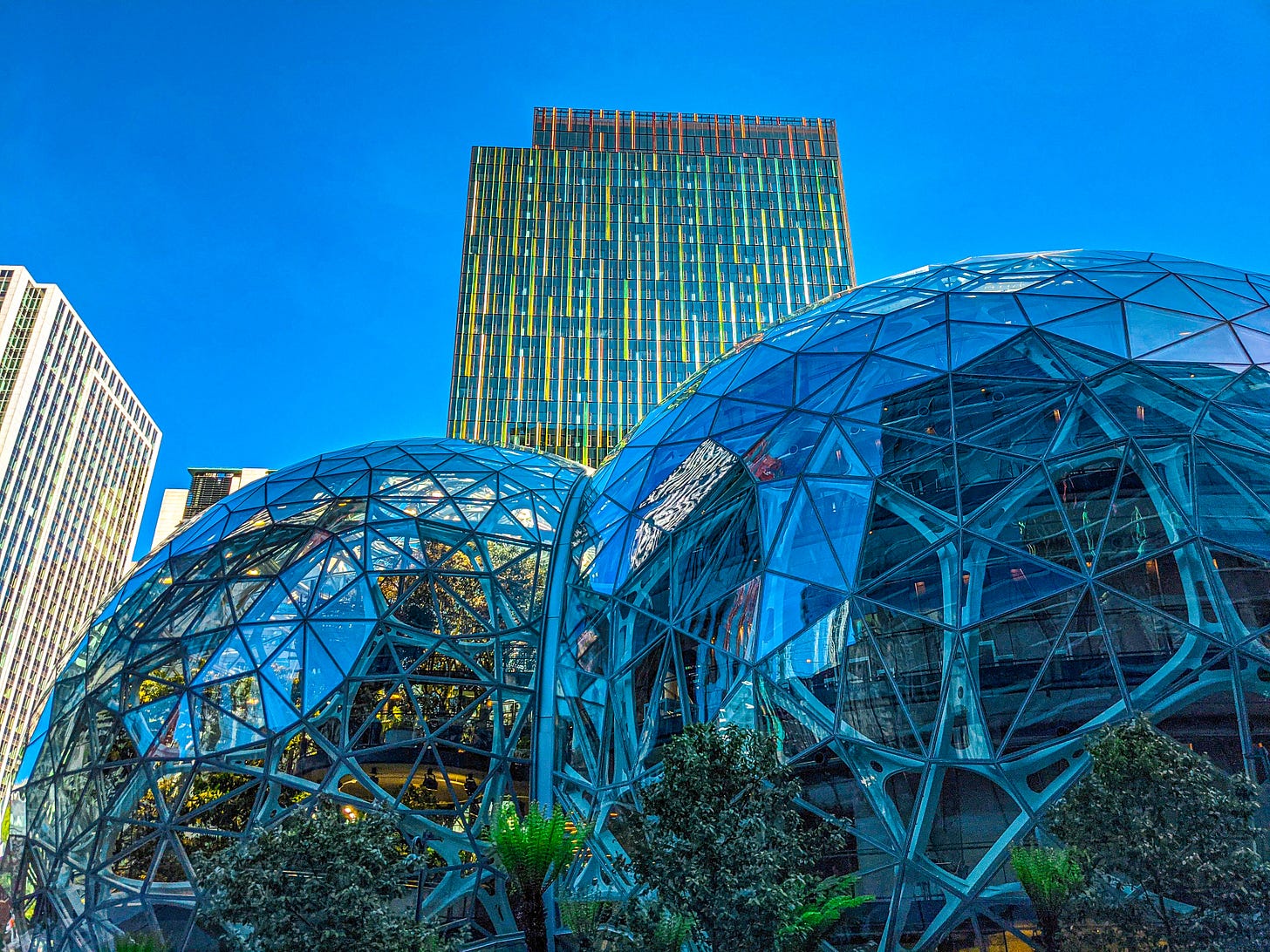 A close up of the Spheres with an Amazon highrise in the background. A close up of the Spheres with an Amazon highrise in the background.