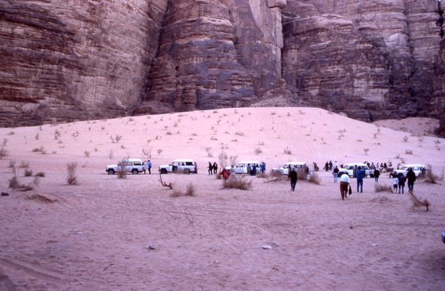 The Wilderness That Remembered