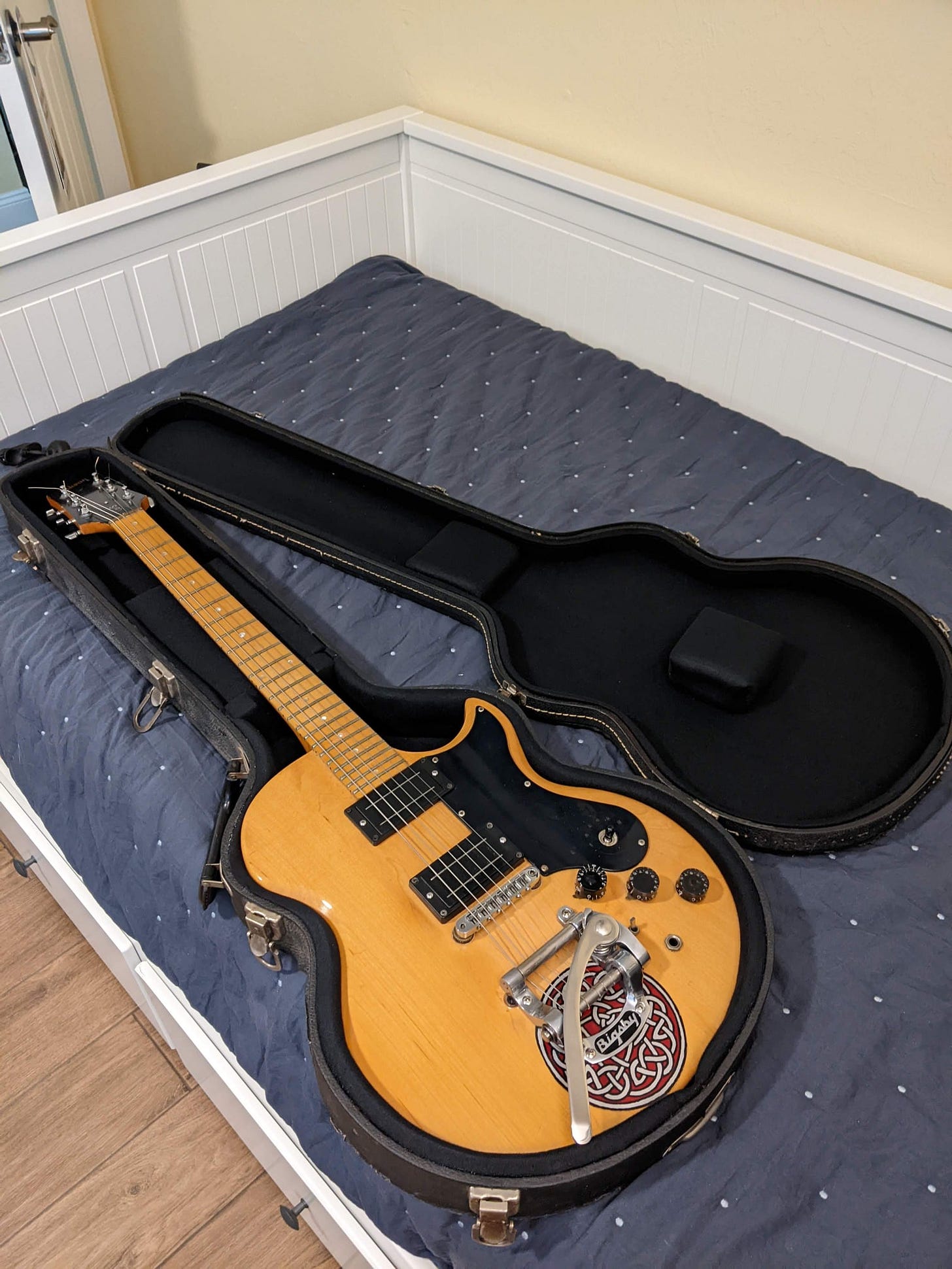 May be an image of guitar and indoor