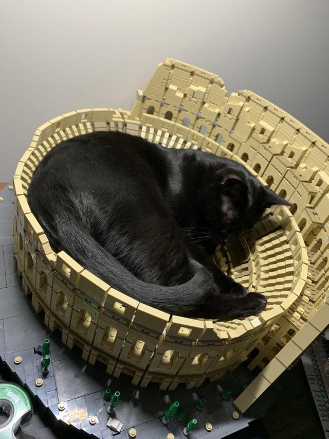 r/lego - Are we posting colosseum  cats?