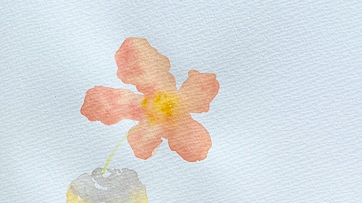 🌷tims daily flowers 9/8/26🌷