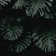 Breno’s Substack