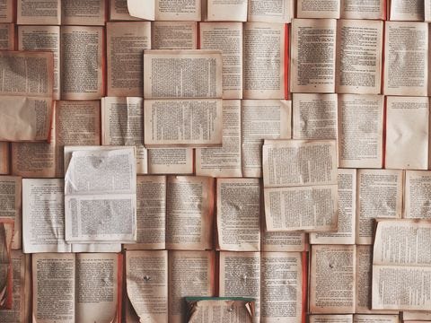 Peter Frankopan - Local News and Information