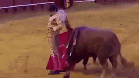 Torero GIF - BullFighter Impaled - Discover & Share GIFs