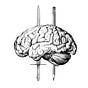 Lethal Minds Journal's avatar