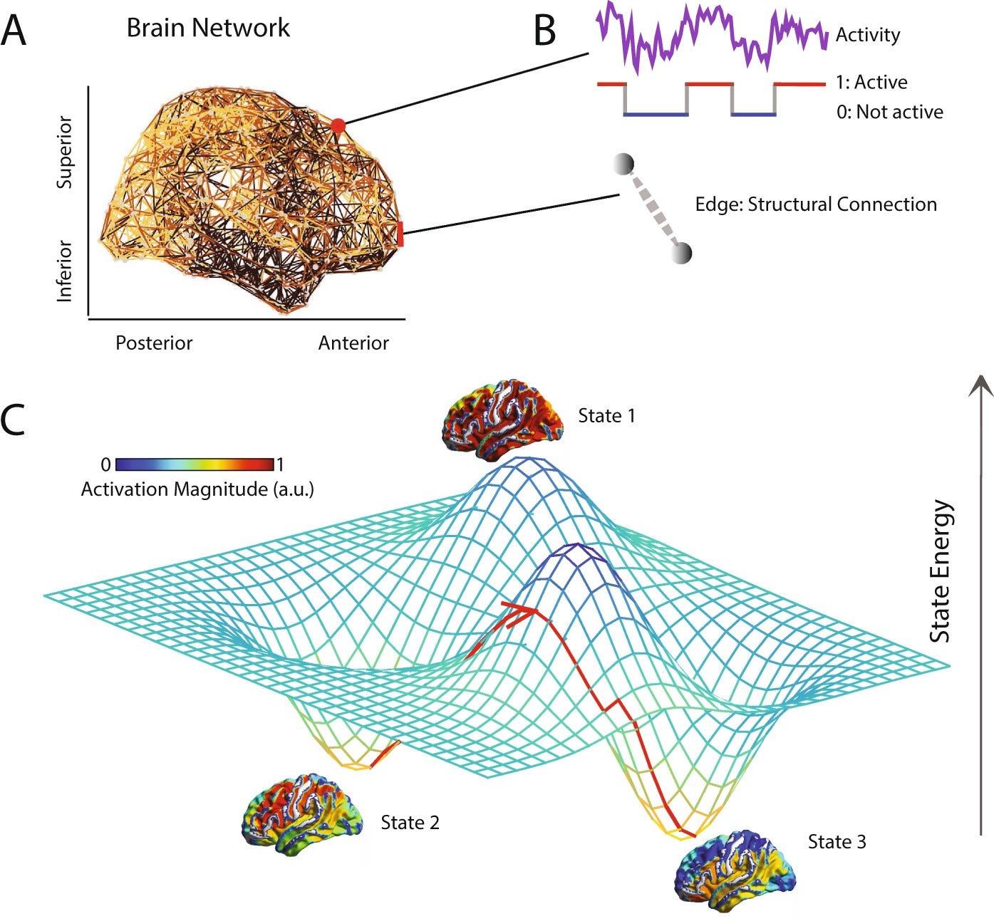 The Energy Landscape of Neurophysiological Activity Implicit in Brain Network Structure | Scientific Reports The Energy Landscape of Neurophysiological Activity Implicit in Brain Network Structure | Scientific Reports