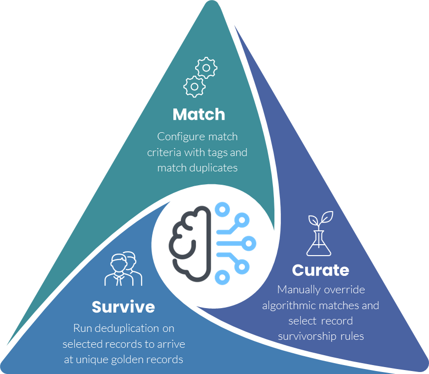 Duplicate Record Identification Triangle Infographic