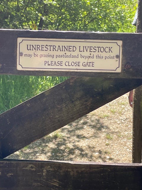 photos of Heligan by Sabrina Simpson