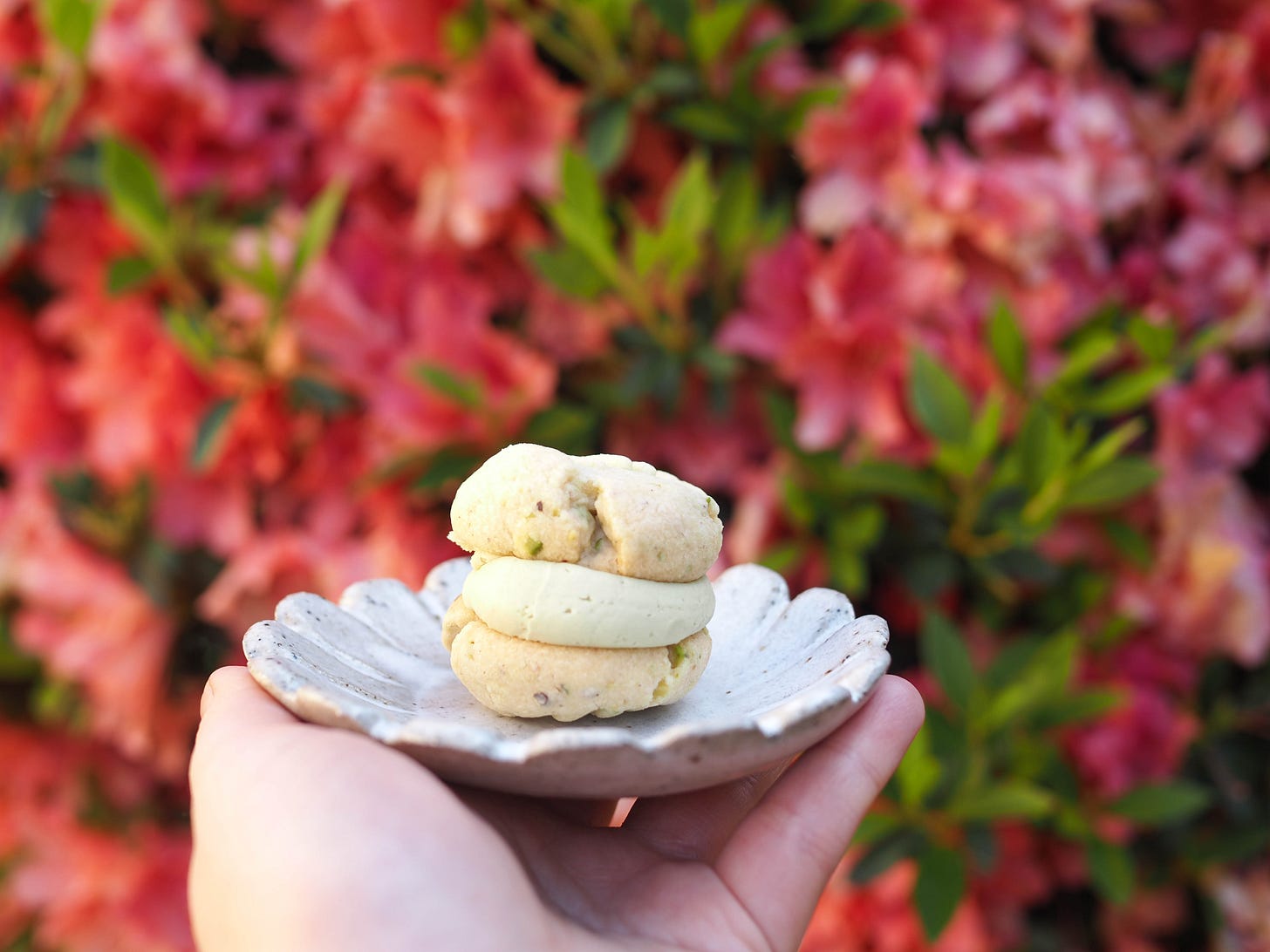 Pistachio Melting Moment