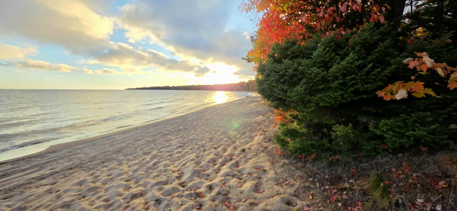 A sandy beach lined with trees, including some showing peak fall colors, with a sun behind a cloud and beginning to lower over a point in the distance.