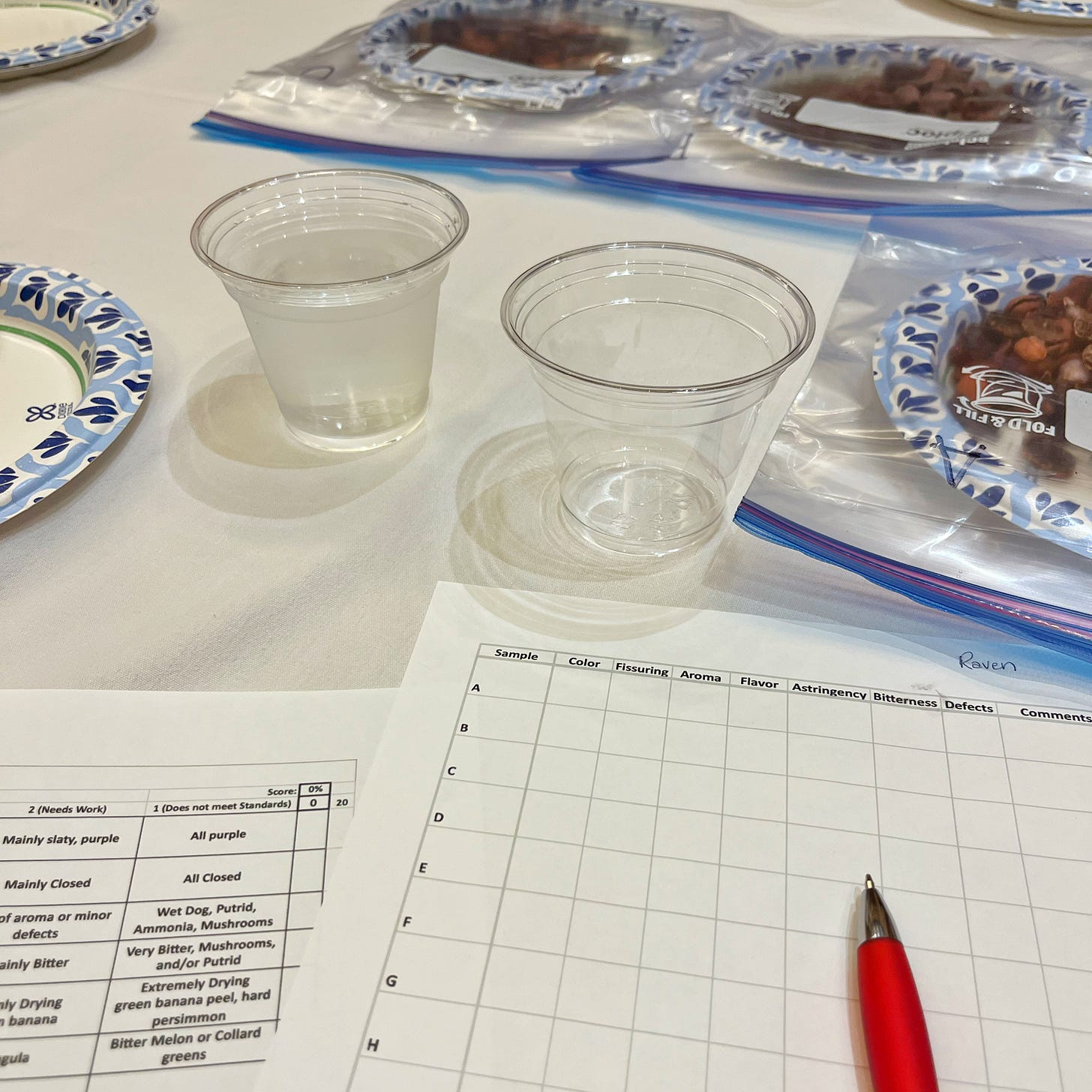 Scoring sheets, pen, cocoa beans