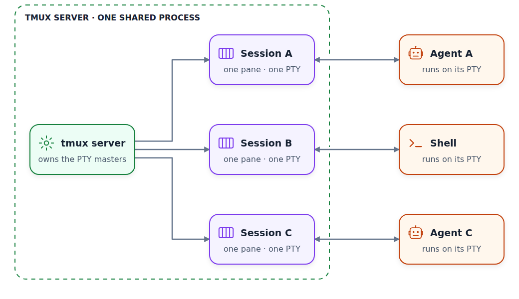 One tmux server fans out to three sessions, each with one pane, one PTY, and an agent or shell