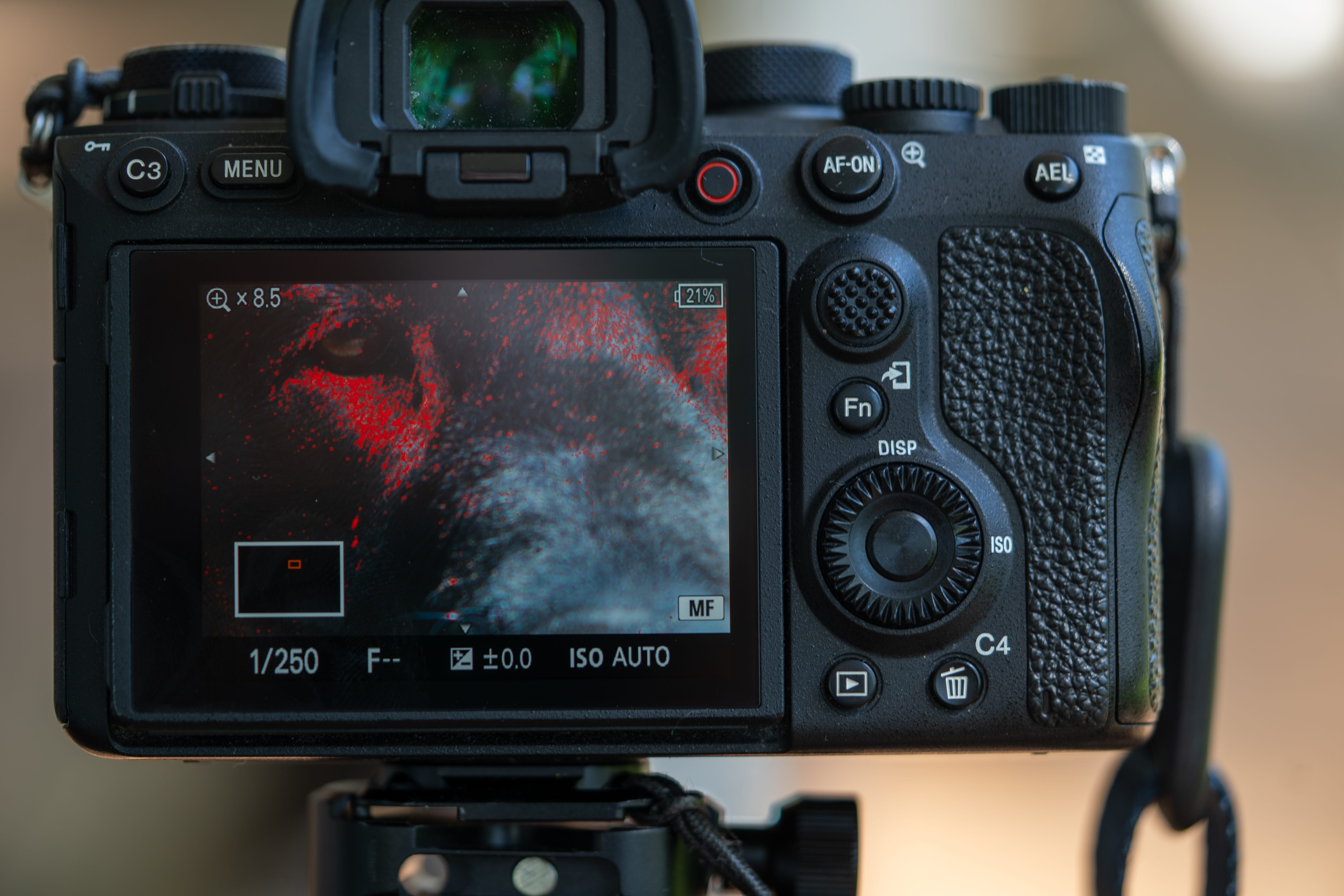 Refocus Lens Mastering Manual Focus Lenses - by Darren Rowse