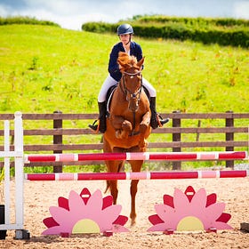 Megan dominates at Hagans Croft show jumping