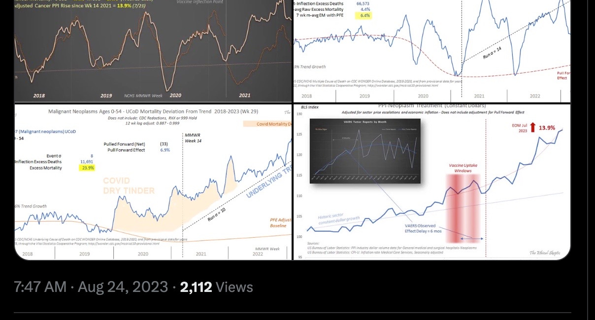 Turbo Cancer Update: or The Never-Ending Adverse Events of the "Vaccinated"
