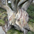 13. The Intention of 'Attention'