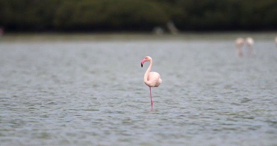 Flexibilisering