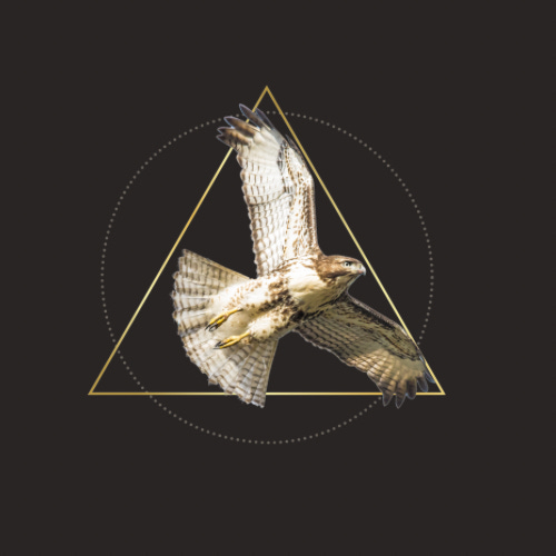 Rooted Aether Herbalist