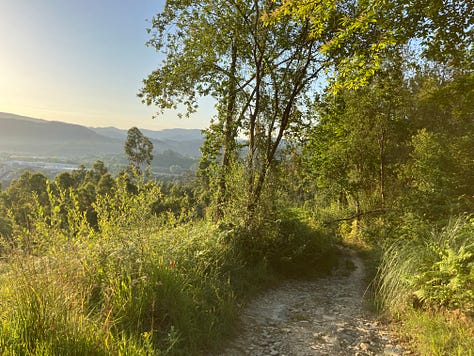a high mountain path through greenery, roadside graffitti for Pays Basque independence, and a small Spanish town