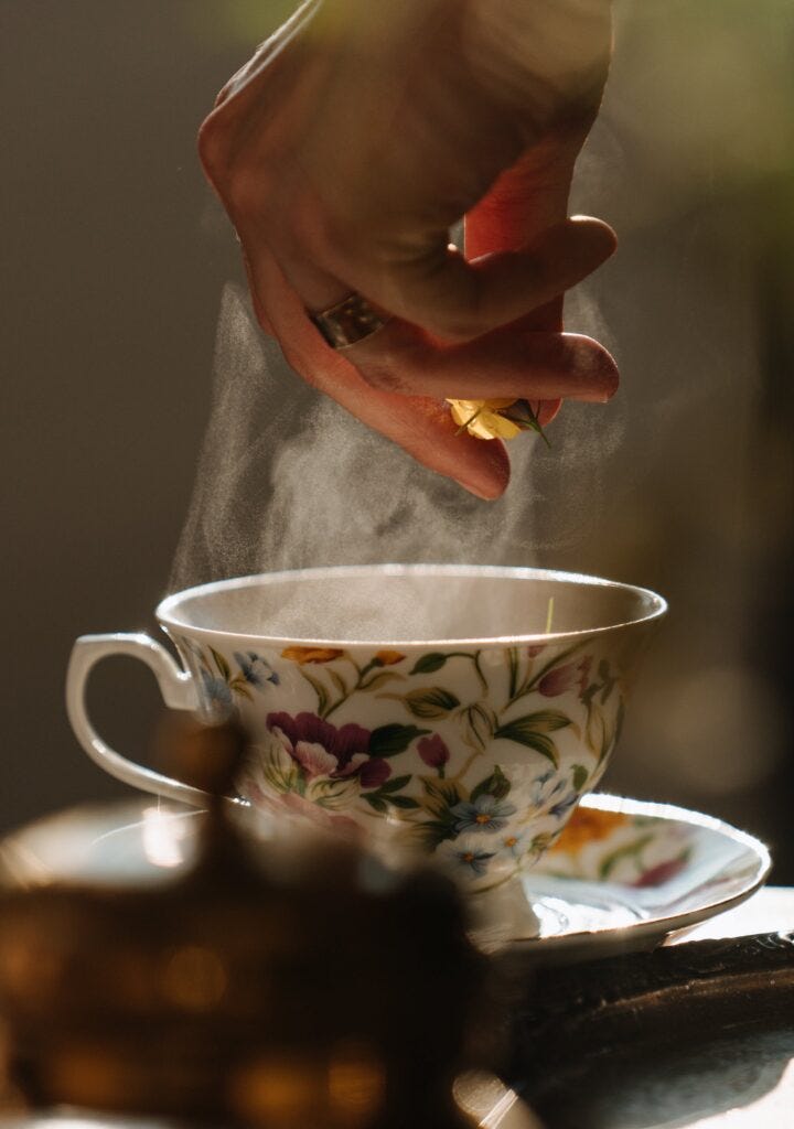 Wisdom of wintering - side view of a beautiful teacup steaming with tea, hand overhead is dropping herbs and flowers into the cup, sun shining through from background