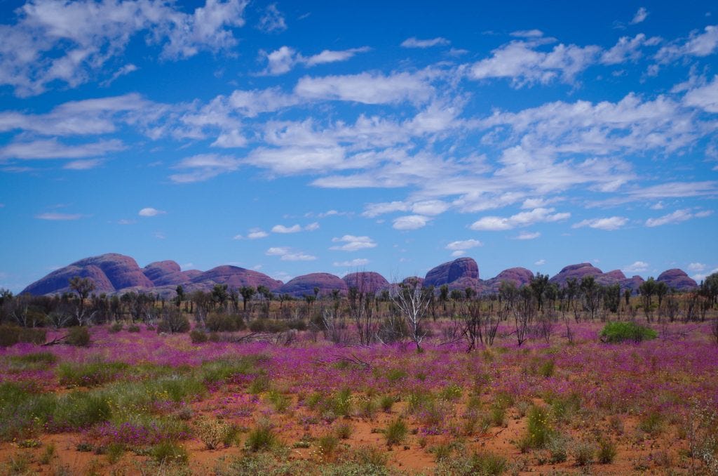 Kata Tjuta Kata Tjuta